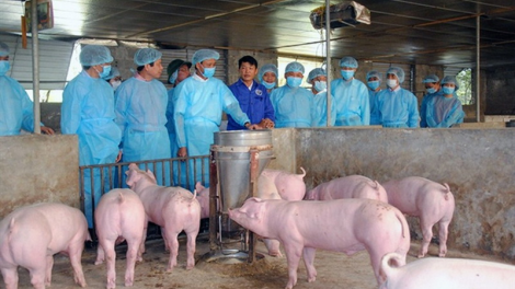 Cao Bằng: T’bhlâng zâl cha groong pr’lúh tả a óc u váih tơợ c’noong k’tiếc