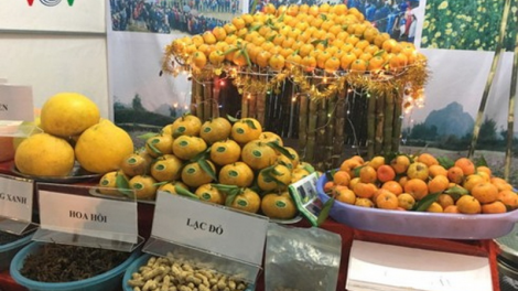 Lạng Sơn: T’ngay bhiệc bha Quýt rơợc Bắc Sơn 2018