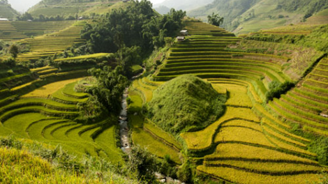 Apêê t’ngay Văn hoá-Du lịch Mường Lò lâng bhiệc bhan chếêc lêy năl đhị laliêm pr’hay âng k’tiếc k’ruung ruộng chuôr Mù Cang Chải ta bhrợ têng tợơ t’ngay 21-25/9