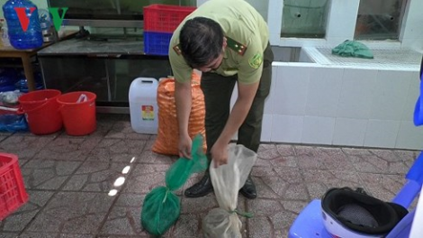 Đồng Nai: Pa chô 14 p’nong a đắh dzăm cóh crâng nắc ơy ta đớc cóh pa pan âng apêê tớt a âm