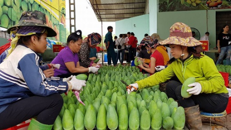 Sơn La: Chr’nắp xuất khẩu bh’nơơn pr’đươi dưr dzoọc dal