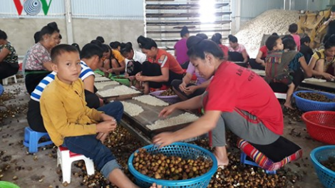 Nhãn Sông Mã: Bấc apêê tợơ k’tiếc k’ruung lơơng zước câl