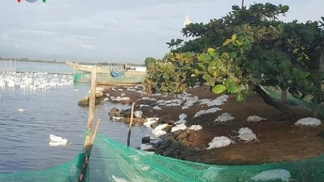 Thừa Thiên Huế: K’noọ 300 p’nong a đha chêệt cắh năl ghít hâu tu