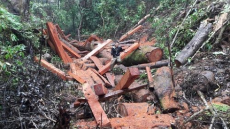 Gia Lai-Kon Tum: pazưm zư lêy crâng lâng khoáng sản zr’lụ đăn k’noong k’tiếc