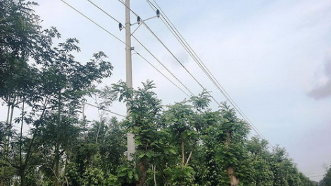 Đắk Lắk: Bil hư 2,5 tỷ đồng tơợ bh’rợ bhrợ lất ooy zr’lụ liêm crêê âng a ngoon điện