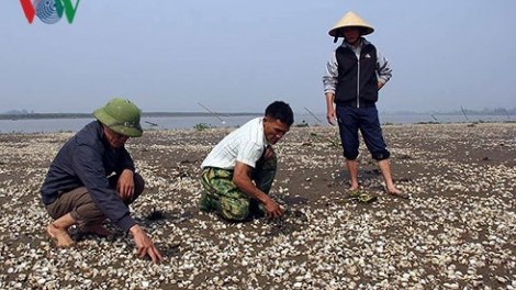 Manứih băn k’cập cóh Trà Vinh bil k;tỷ đồng tu k’cập ma chêết zêng