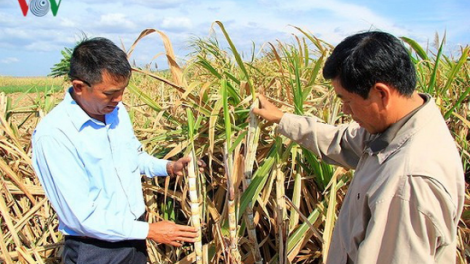 Agribank lướt đh’rứah lâng bh’rợ ha rêê đhuốch, đhanuôr bhrợ ha rêê đhuốch, bhươl cr’noon