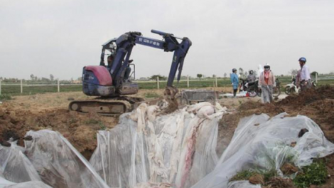 Hải Phòng: Zooi đoọng apêê pr’loọng đong băn crêê bil bal bấc tu pr’lúh pa zruốh a óc Châu Phi