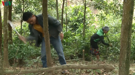 Đha nuôr acoon coh coh Quảng Bình zươc luh đhị c’bhuh pr’loọng đha rưt