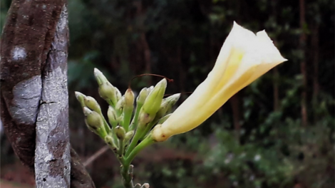 T'RUIH T'NGAY 10/12/2019