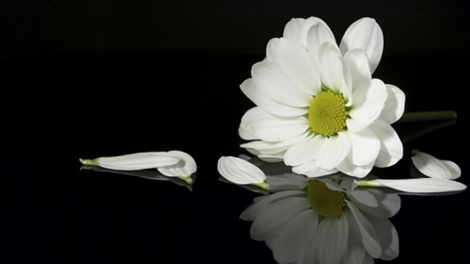 T'RUIH T'NGAY 22/11/2019