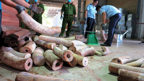 Phó thủ tướng Trương Hoà Bình k’đươi moon lêy bhrợ pa liêm tu bhiệc lấh 9 tấn bhr’lưa ruốih tơợ châu Phi moót ooy Việt Nam ting c’lâng Cảng Đà Nẵng