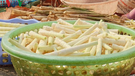 Yên Bái: Đha nuôr zr’lụ da ding ca coong pa dzoóc râu pa chô tơợ a băng sặt hân noo choọt chooi