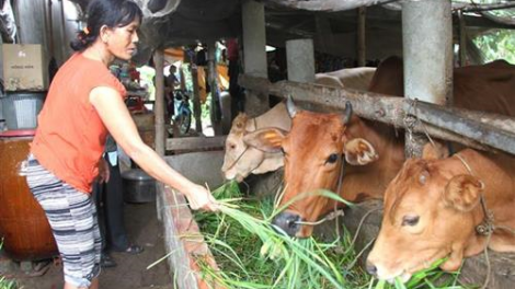 Vĩnh Long k’rang pr’ặt tr’mông âng đhanuôr Khmer