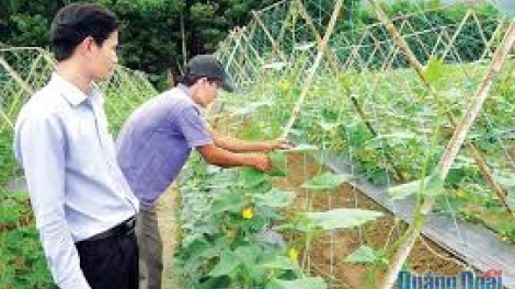 Quảng Ngãi: 6/6 chr’hoong đha rựt da ding ca coong bơơn k’rong bhrợ, zooi đoọng ting Bh’rợ xa nay 30a