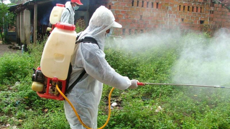 Quảng Bình: N’léh váih pr’lúh pr’zuốh châu Phi cóh a’ọc