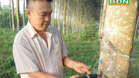 Pay dzệêt cao su lâng bh’rợ ép khí Ethylene
