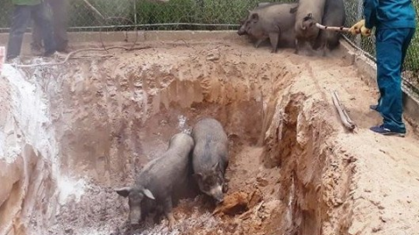 Nghệ An: P’xoọng 5 chr’val váih pr’lúh pa zrúah a óc Châu Phi