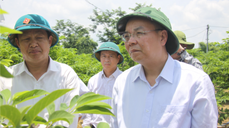 Lạng Sơn: Đươi dua Khoa học Công nghệ pa dưr bhươl cr’noon, da ding k’coong