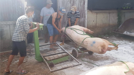 Lâm Đồng n’léh zr’lụ pr’lúh pa zruáh a óc châu Phi đhị zr’lụ b’băn bha lâng