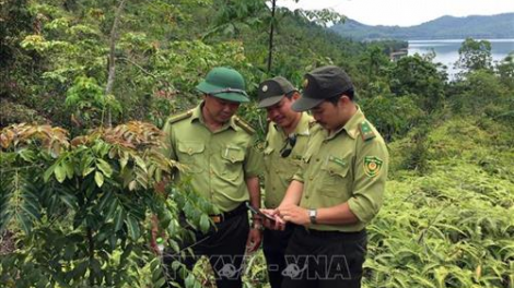 Quảng Nam đươi dua công nghệ cóh k’đhơợng lêy, zư lêy crâng