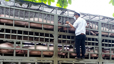 Đà Nẵng n’léh pr’lúh pr’zuốh a’ọc châu Phi