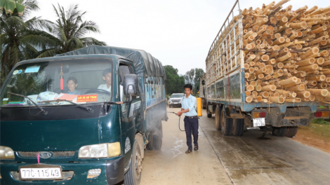 Bình Định ơy lêy pr’lúh pr’zuốh châu Phi đhị a’ọc xoọc tr’nợơp