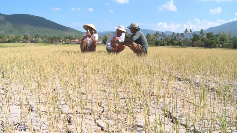 Pleng p’răng cha noọng Bình Định- Phú Yên: K’ra bhầu pr’loọng đong đhanuôr r’hal đác đươi dua