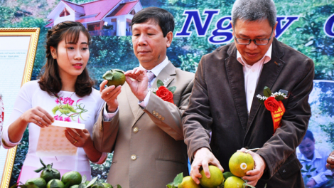 Yên Bái: Đọong bhrợ Đề án “Bh’rợ zập chr’val muy pr’đươi”