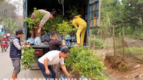 Tuyên Quang pa dưr pr’đợơ liêm choom đăh lâm nghịêp