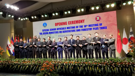 Hội nghị chr’nắp quan chức bha lâng nông, lâm nghiệp AMAF ASEAN+3