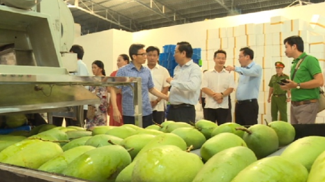 Phó Thủ tướng Vũ Đức Đam lum lêy pr’dhang bh’rợ  hội quán coh Đồng Tháp