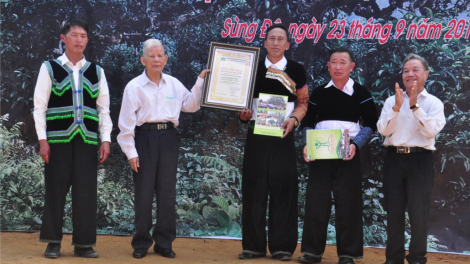 Yên Bái: Zr’lụ 100 t’nơơm chè Shan tuyết đanh c’moo bơơn xay moon tơơm c’kir Việt Nam