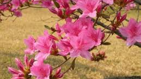 T’RUÍH PA XƯL T’NGAY 1/5/2019