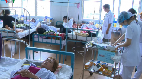Gia Lai: Lấh 6.200 cha nắc  ca ay k’hir ploh a ham, 2 cha nắc căh ma mông