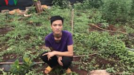 Gia Lai: Bơơn lêy k’zệt t’nơơm cần sa chóh đhi quán karaoke lâng bhươn đong