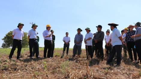 Gia Lai: K’rong pa zêng 10 c’moo bhrợ pa dưr vel bhươl t’mêê
