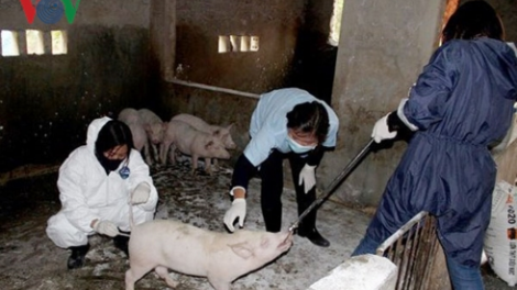 Nghệ An: Cắh đoọng lêệng p’zi đhị 2 vel đông váih pr’lúh pa zrúah a’ọc châu Phi