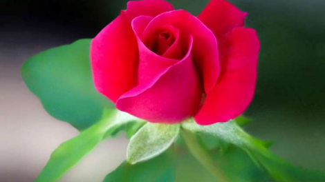 T'RUIH PA XUL T'NGAY 23 C'XÊÊ 10