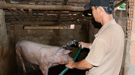 Kon Tum: Đơớh loon zúp zooi đhanuôr b’băn nhâm mâng pr’ắt tr’mông lâng bh’rợ pa bhrợ