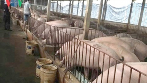 Lạng Sơn: T’bhlâng zâl cha groong pr’lúh pa zruáh a óc châu Phi