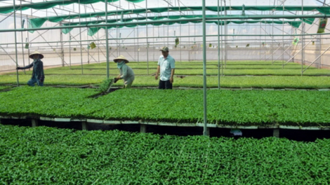 Pa chô bấc râu liêm choom tợơ chóh m’ma chr’nóh