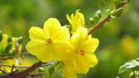 T’RUIH PA XUL T’NGAY 19/5/2019