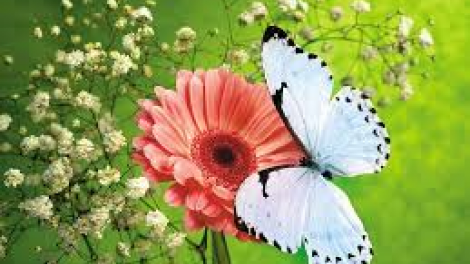 T’RUIH PA XUL T’NGAY 18/5/2019