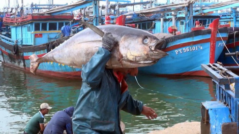 Bộ Nông nghiệp lâng pa dưr pa xớc bhươl cr’noon bhrợ bhiệc lâng tỉnh Phú Yên ooy bh’rợ zâl cha groong ta bơơn a chông axiu lất xa nay