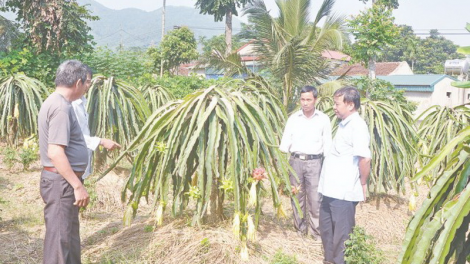 Thanh Hoá: 1 chr’hoong, 17 chr’val dưr zi lấh đhị diện pa bhlâng zr’nắh k’đhạp