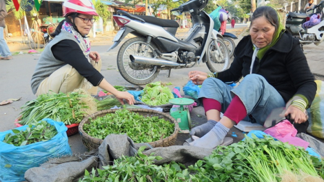Đà Nẵng: toom 600 zr’lụ bhrợ lất ooy rau liêm crêê âng chr’na đha nắh