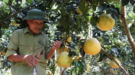 Nông nghiệp 2019: T’bhlâng bhrợ pa dưr cớ ngành, xăl t’mêê bhiệc padưr pa xớc