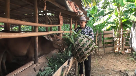 Sơn La: K’noọ 23 r’bhâu pr’loọng z’lấh đha rựt đươi vêy đợ zên vặ âng ngân hàng chính sách xã hội