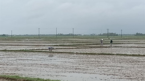 Phú Yên: Đhanuôr bhrợ ha rêê đhuốch ta bhúch m’ma xang bêl túh bhlong